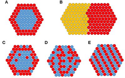 A Remarkable Class of Nanocomposites: Aerogel Supported Bimetallic Nanoparticles